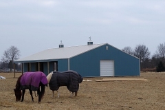 Poll Barn for Horses